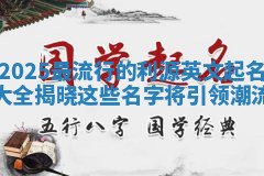 2025最流行的利源英文起名大全揭晓这些名字将引领潮流