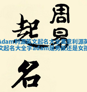 Adam利源英文起名大全寓意 利源英文起名大全字adam是男孩还是女孩