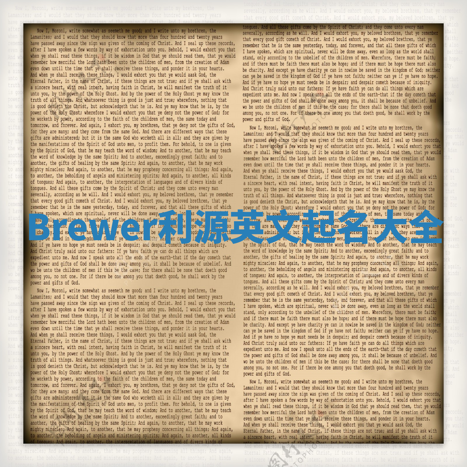 Brewer利源英文起名大全 Brewer利源英文起名大全