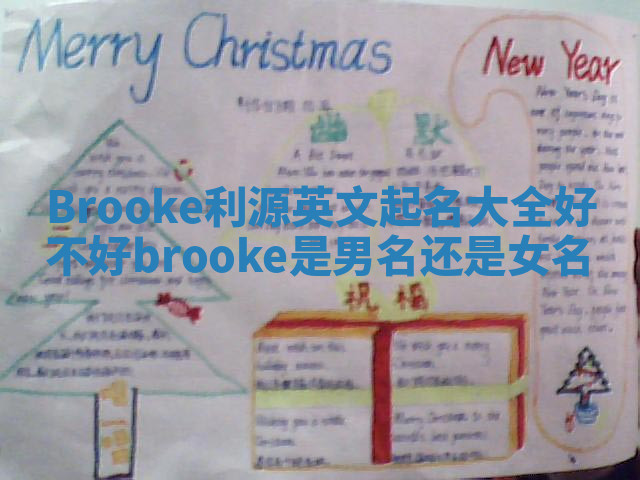 Brooke利源英文起名大全好不好_brooke是男名还是女名
