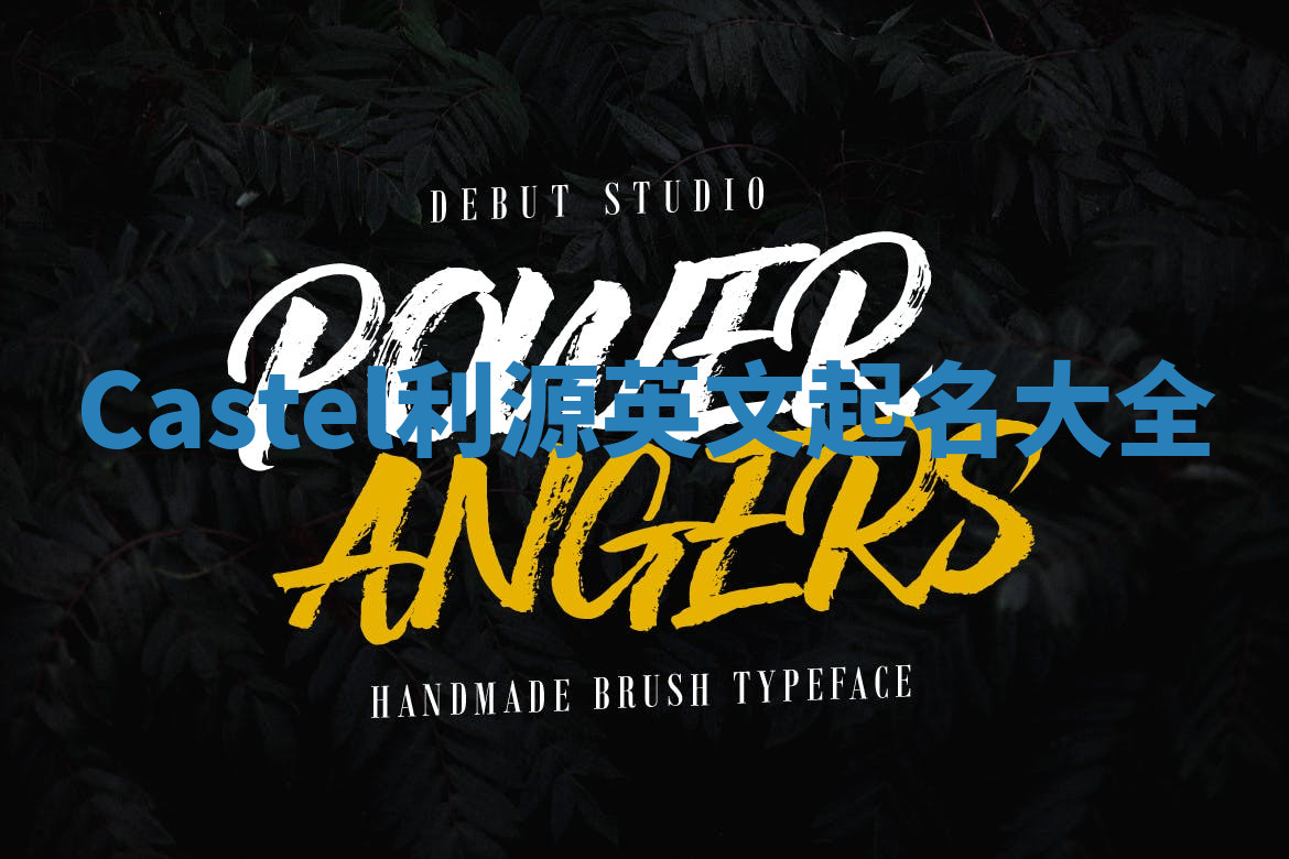 Castel利源英文起名大全