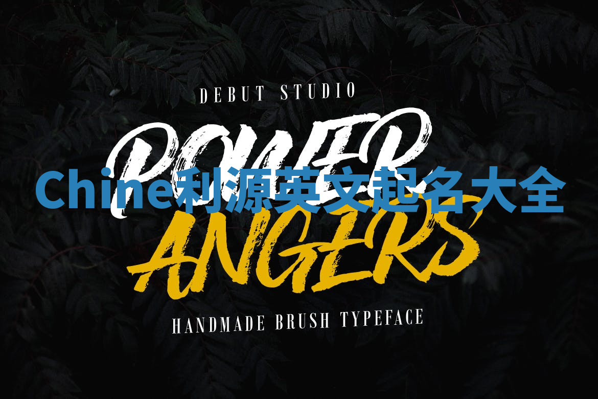 Chine利源英文起名大全