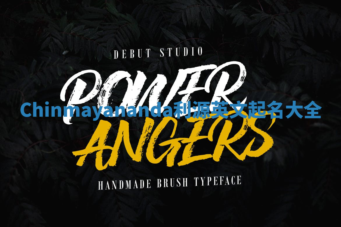 Chinmayananda利源英文起名大全 Chinmayananda利源英文起名大全