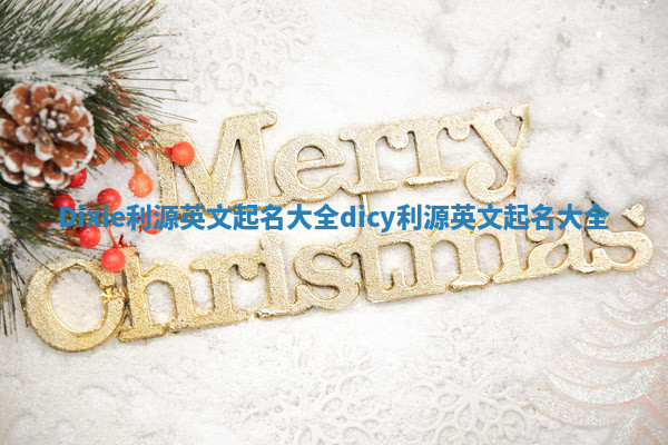 Dixie利源英文起名大全 dicy利源英文起名大全