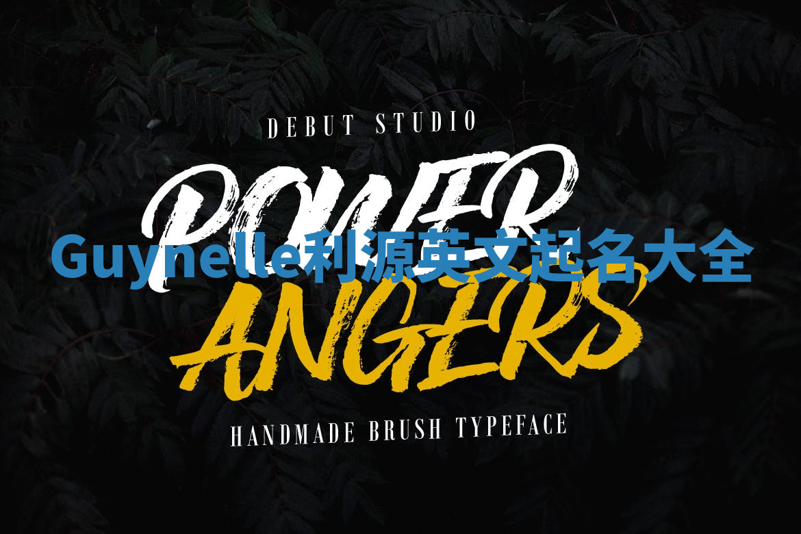 Guynelle利源英文起名大全