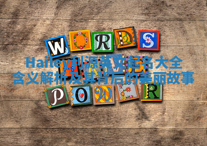 Hailey利源英文起名大全含义解析及其背后的美丽故事 Hailey利源英文起名大全含义解析及其背后的美丽故事