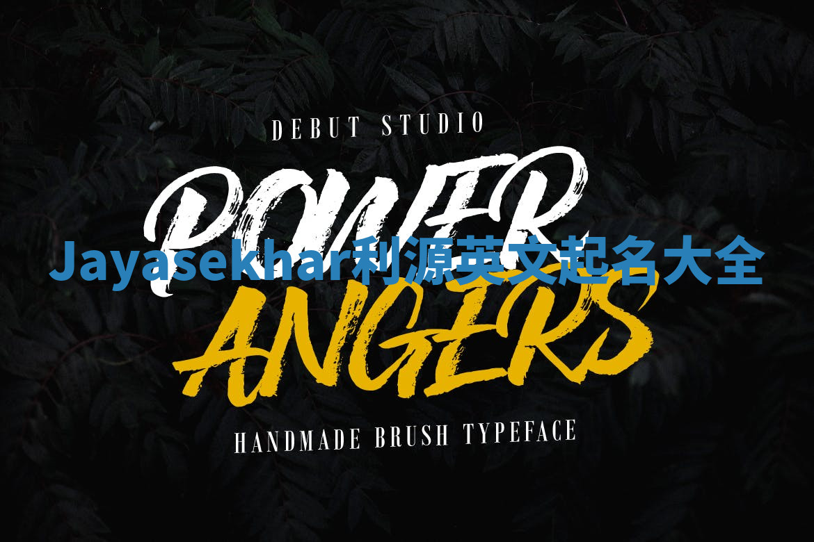 Jayasekhar利源英文起名大全 Jayasekhar利源英文起名大全