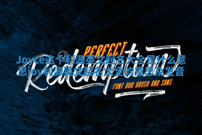 Joyce这个利源英文起名大全是什么意思_joy利源英文起名大全的意思及发音