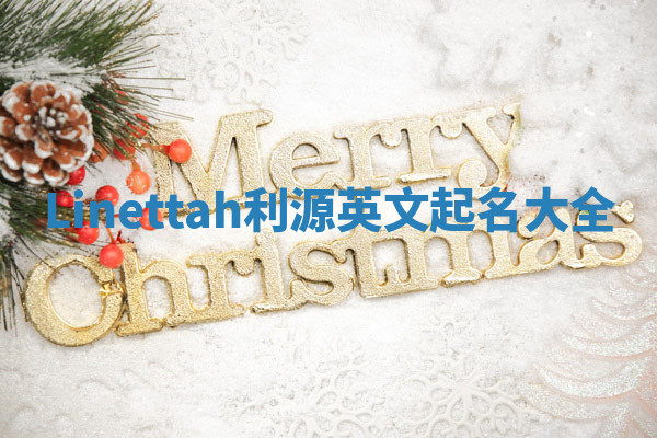 Linettah利源英文起名大全