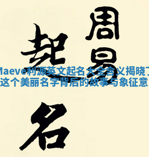 Maeve利源英文起名大全含义揭晓了解这个美丽名字背后的故事与象征意义 Maeve利源英文起名大全含义揭晓了解这个美丽名字背后的故事与象征意义