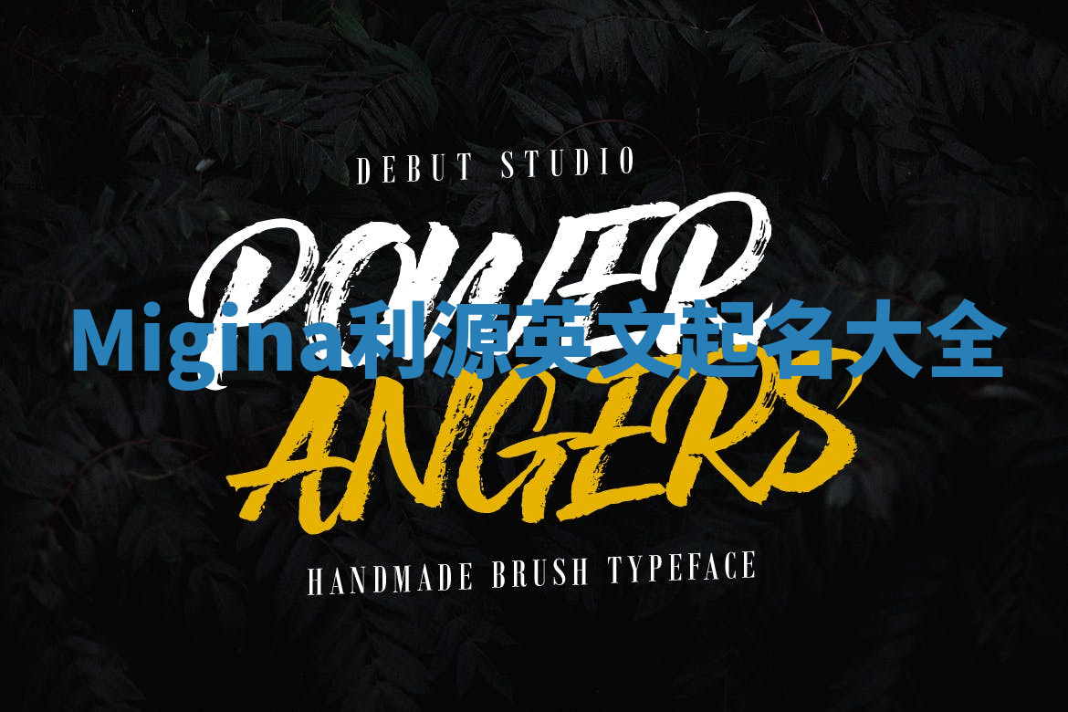Migina利源英文起名大全