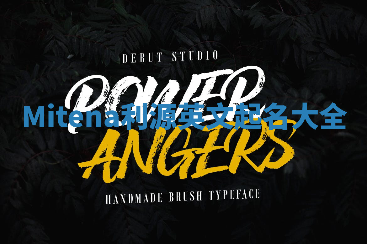 Mitena利源英文起名大全