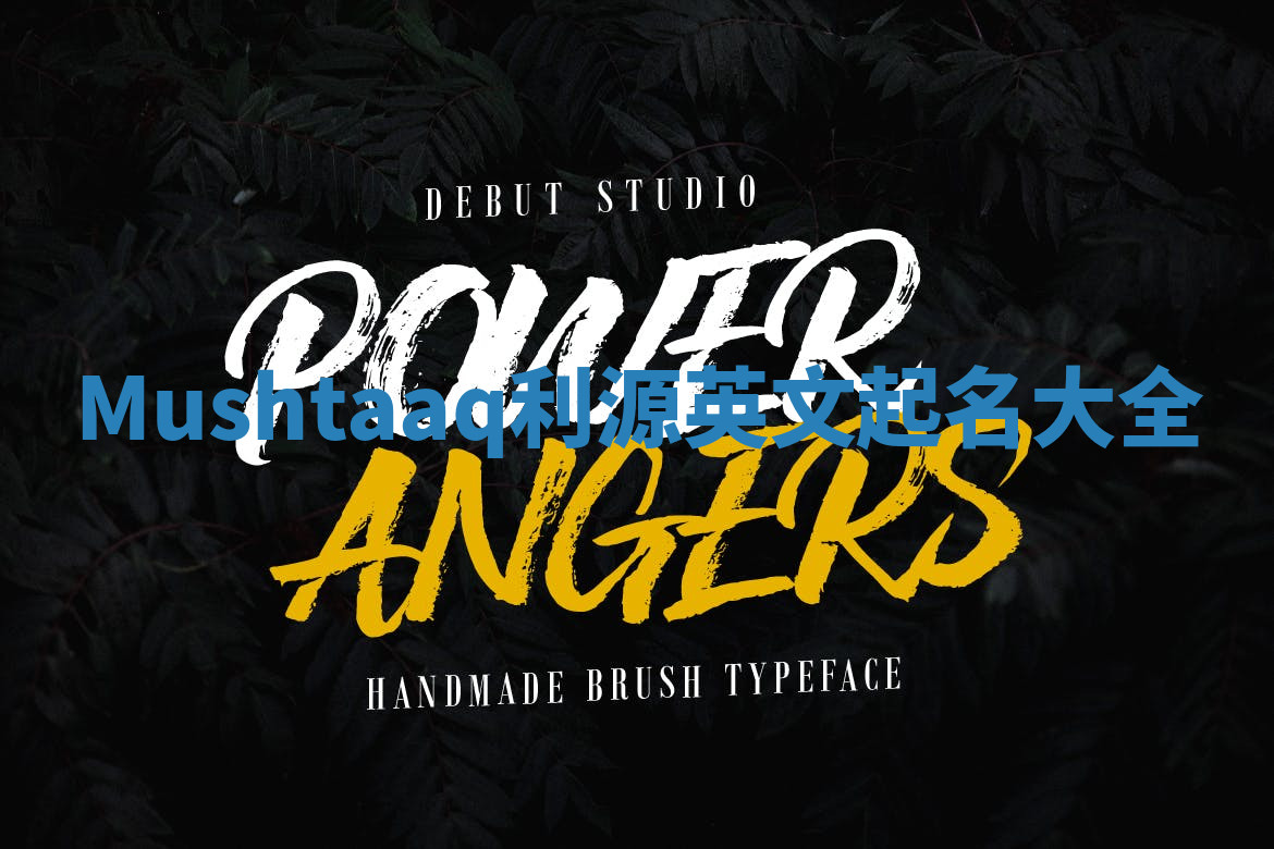 Mushtaaq利源英文起名大全