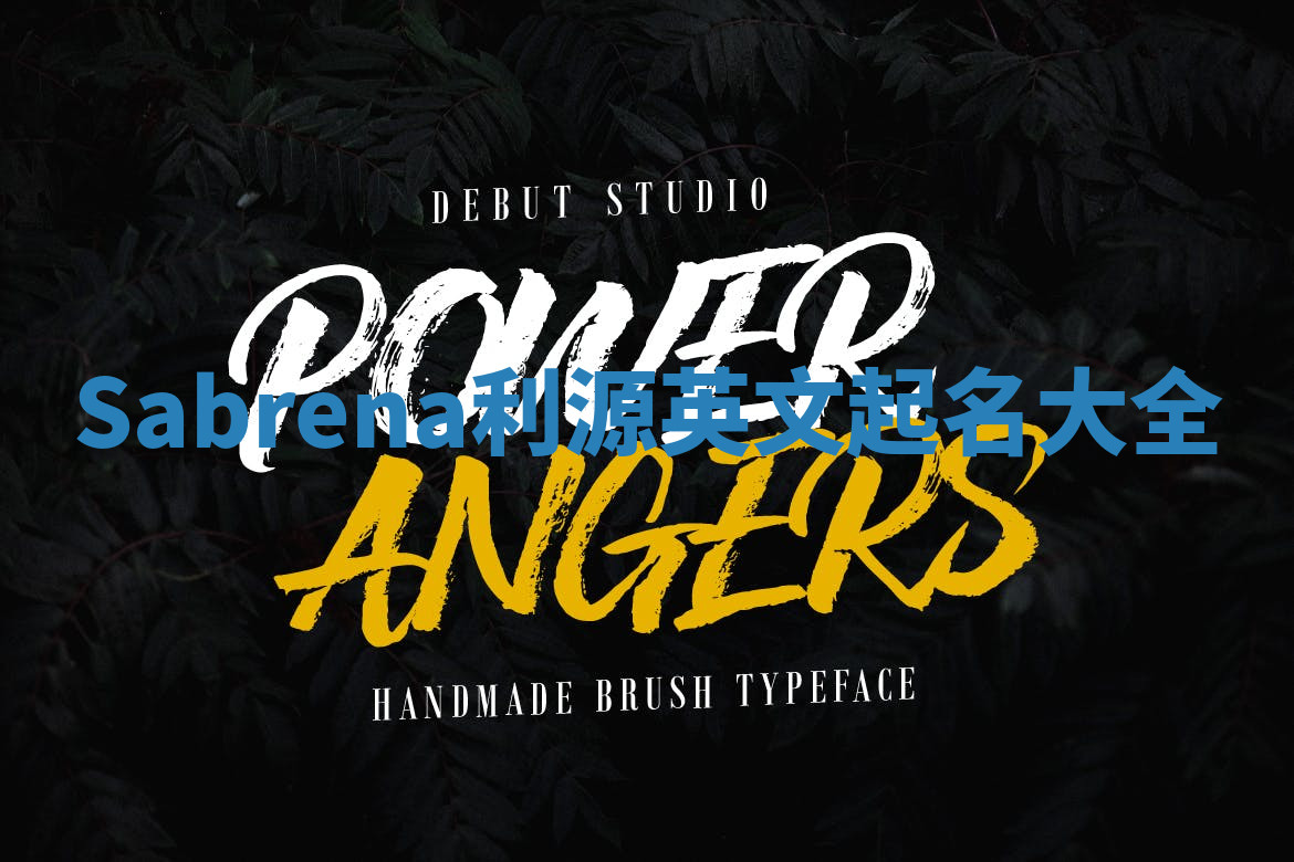 Sabrena利源英文起名大全