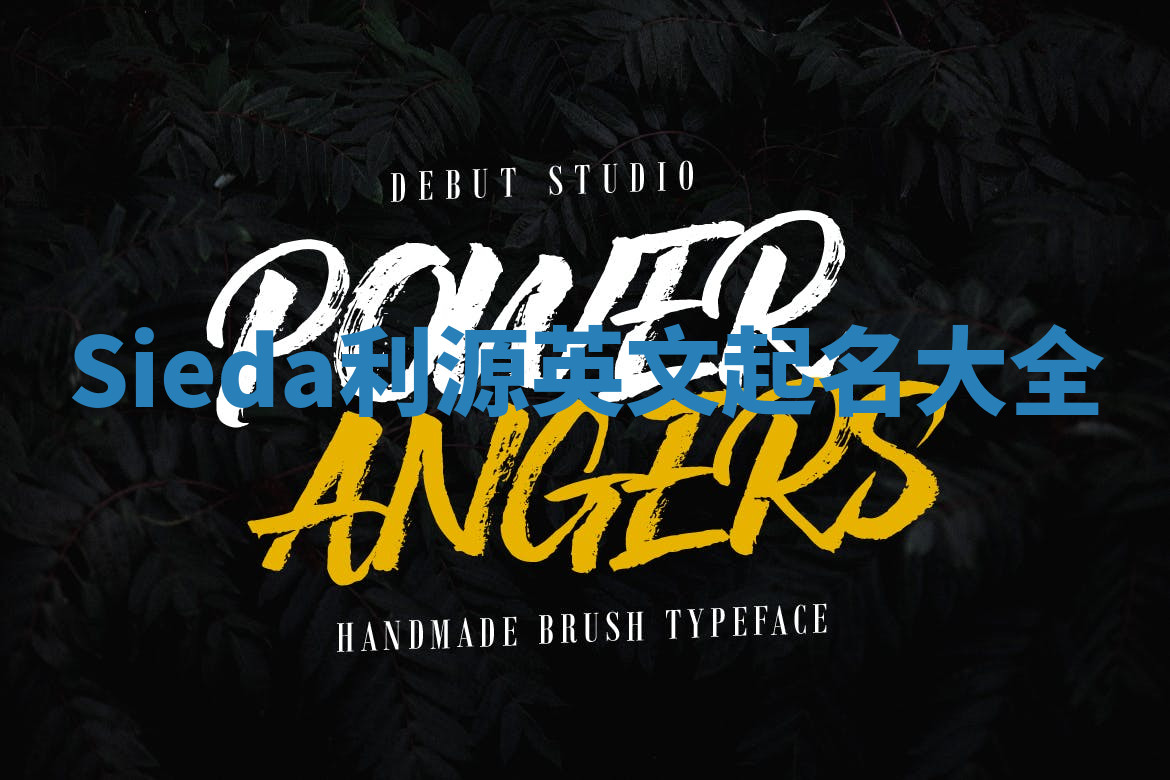 Sieda利源英文起名大全