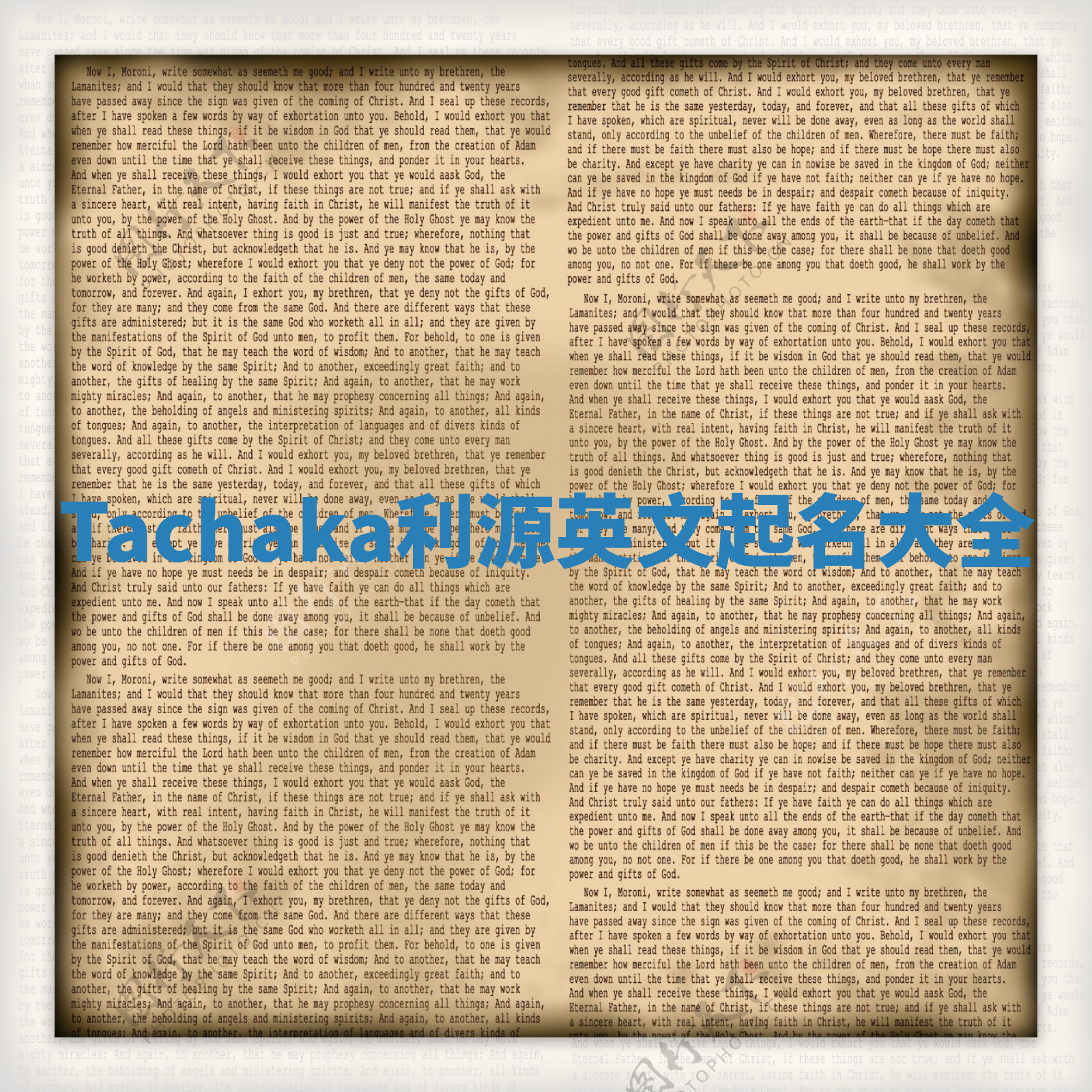 Tachaka利源英文起名大全