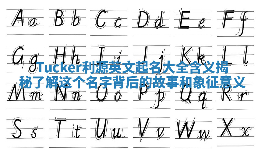 Tucker利源英文起名大全含义揭秘 了解这个名字背后的故事和象征意义 Tucker利源英文起名大全含义揭秘 了解这个名字背后的故事和象征意义