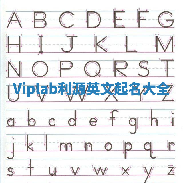 Viplab利源英文起名大全