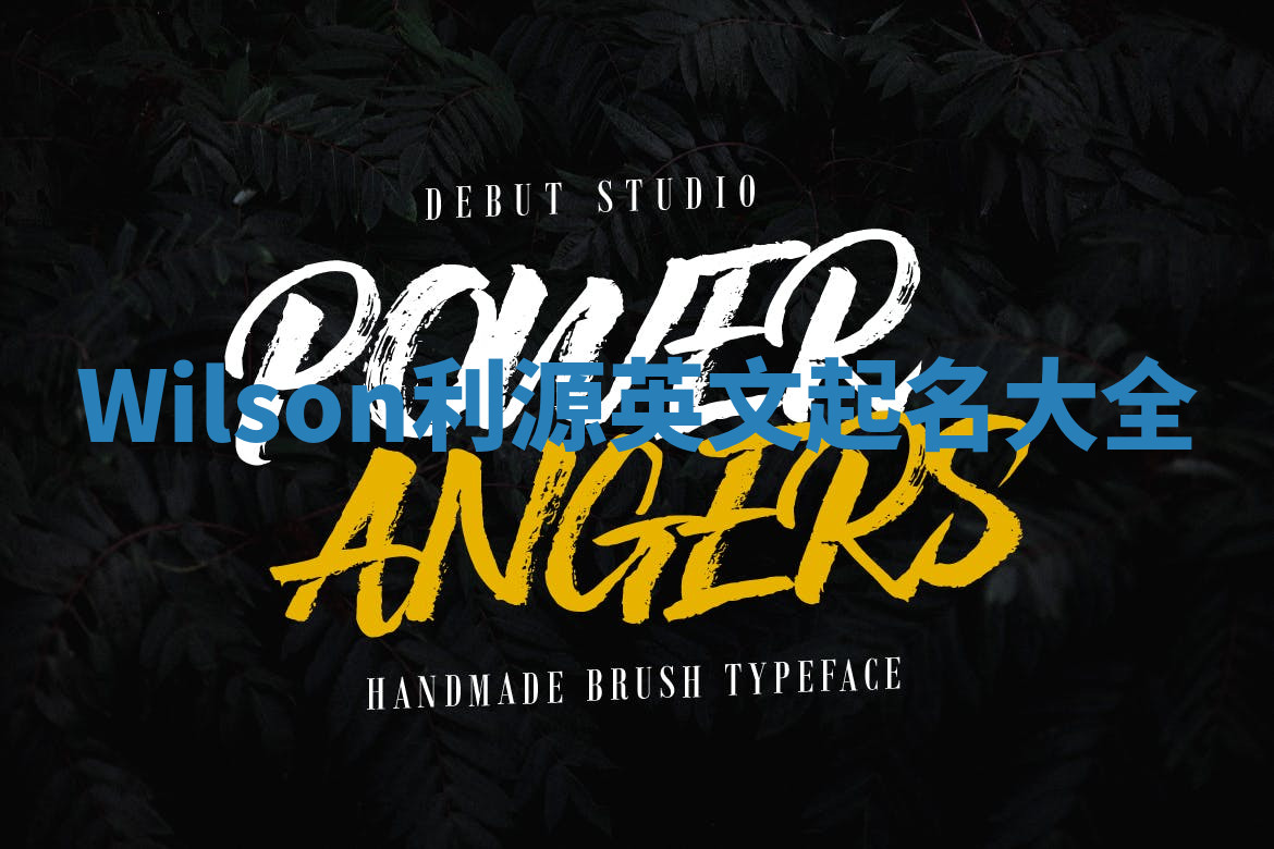 Wilson利源英文起名大全 Wilson利源英文起名大全