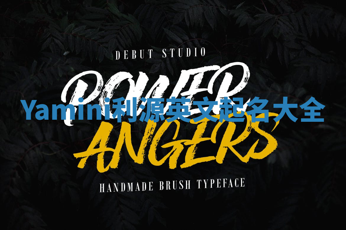 Yamini利源英文起名大全 Yamini利源英文起名大全