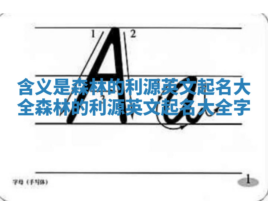 含义是森林的利源英文起名大全 森林的利源英文起名大全字 含义是森林的利源英文起名大全 森林的利源英文起名大全字